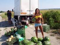 Prodej meloun�