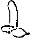 Na penis