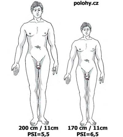 Zvětšení penisu - 4. PSI - penis size index